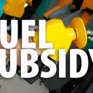 fuel subsidy