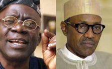 Buhari and Falana