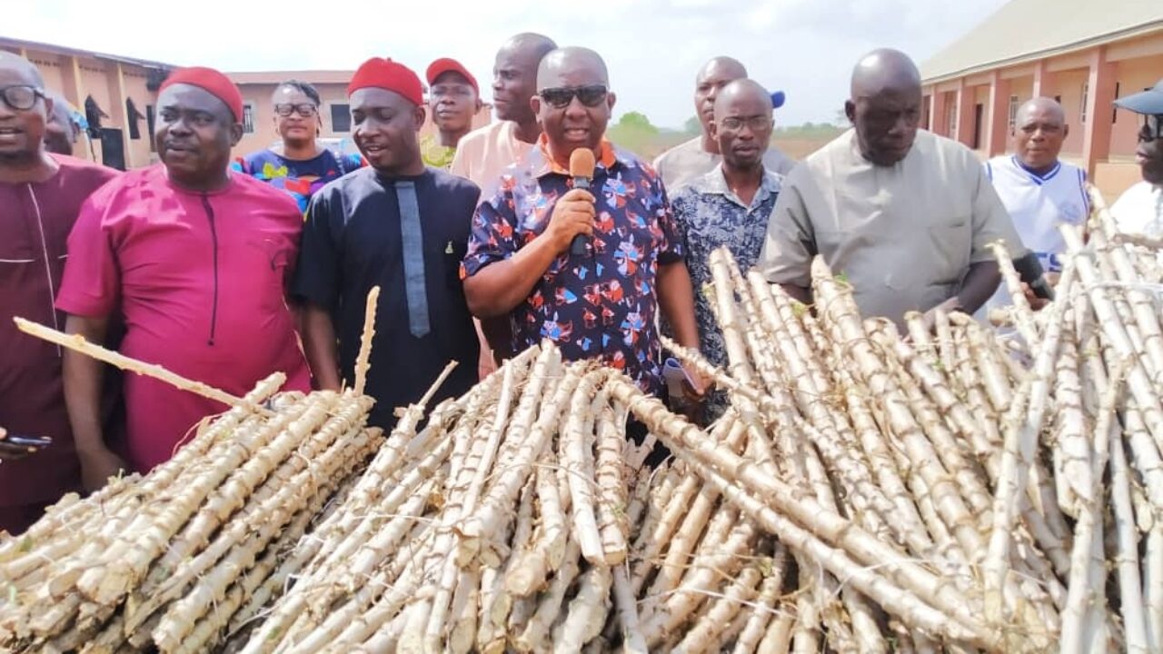 Lawmaker distributes cassava stems to constituents in Anambra