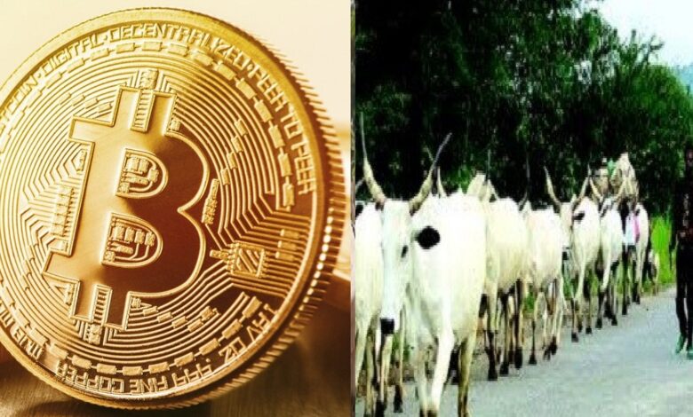cow coin crypto