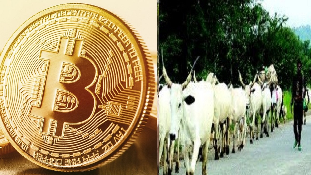 Bitcoin and Cows