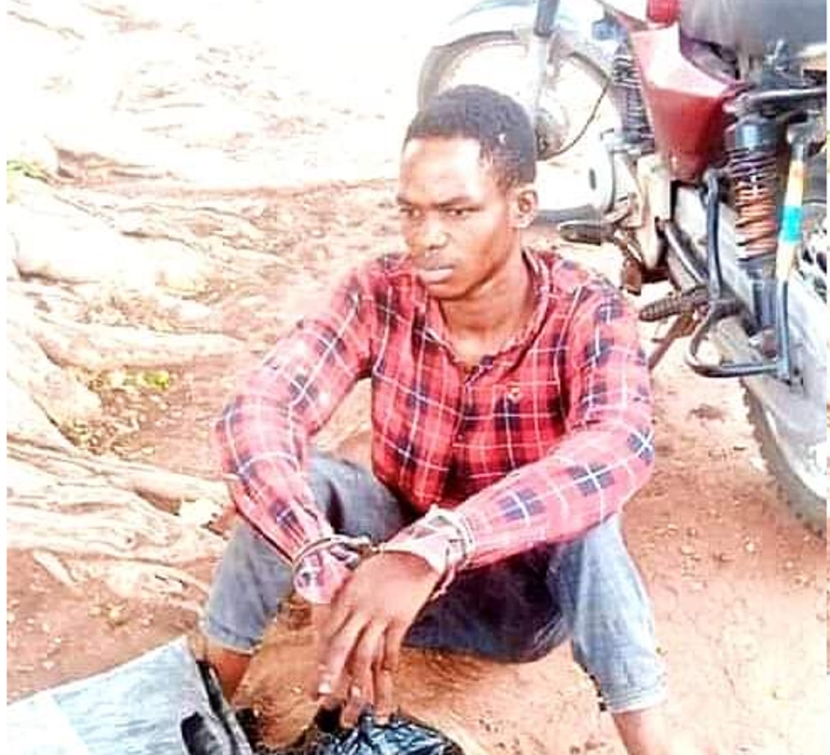 Police arrest passenger with fresh human head in Kwara highway