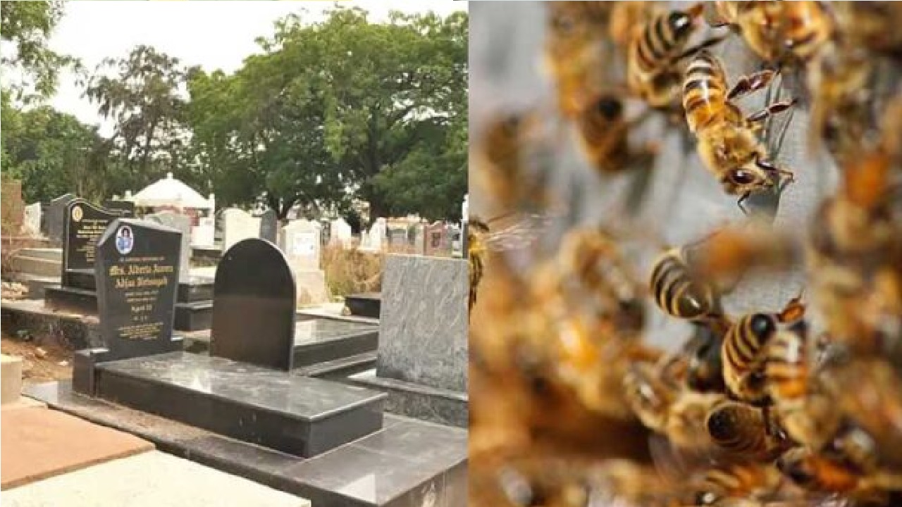 Pastor to pray for the dead runs away after bees invade grave at Asokore Senchi