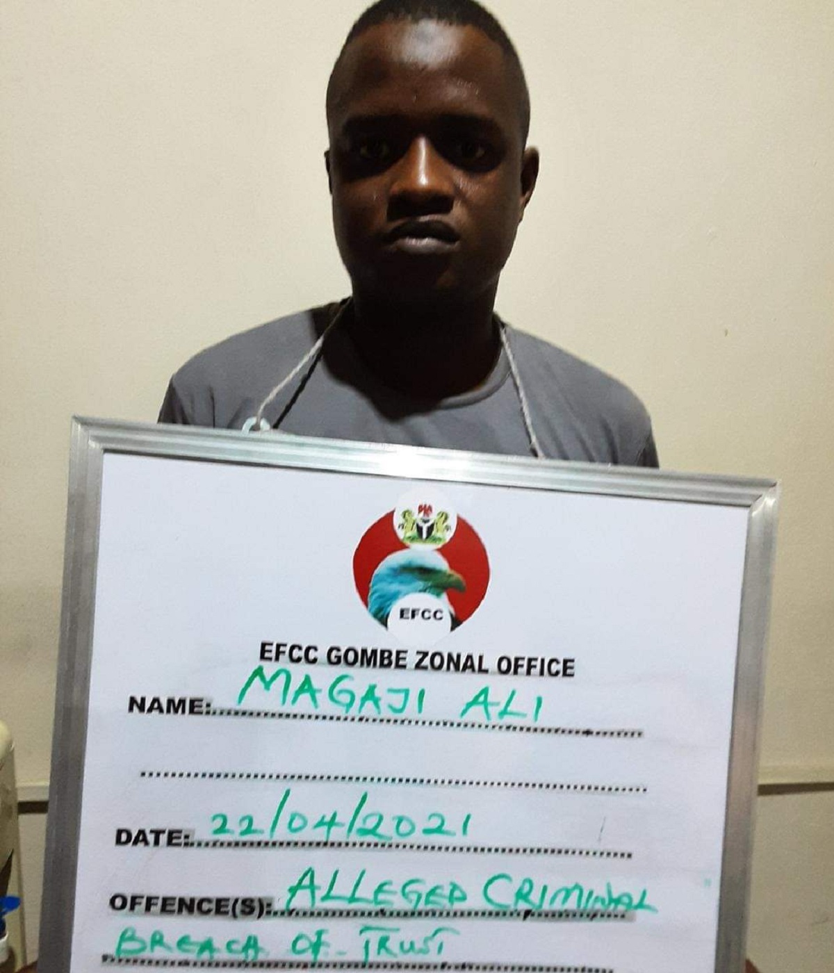 EFCC arrests cow thief