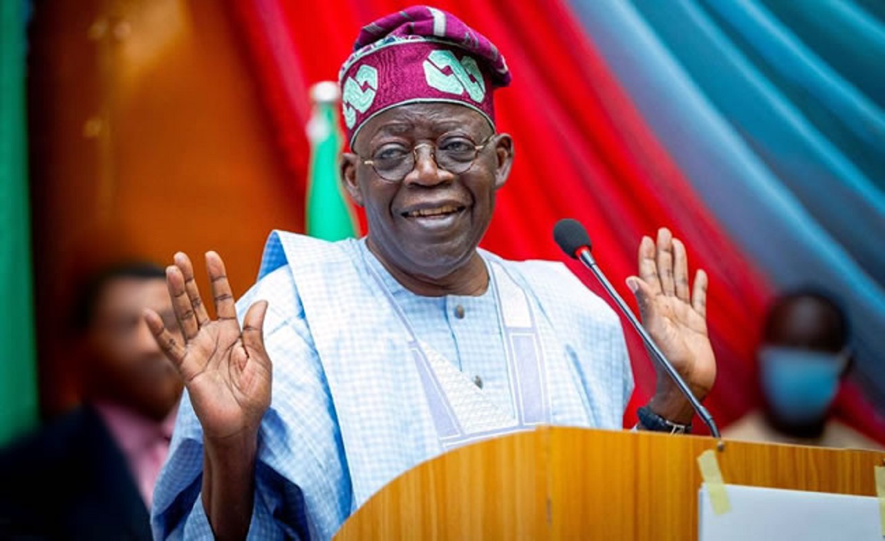Canadian Judge Grants Man Asylum Reliefs after Claiming Tinubu Tried to ...
