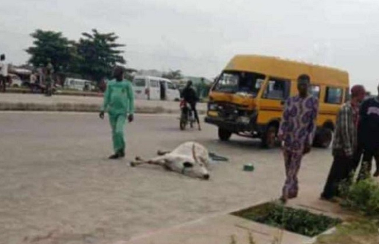 herdsmen stab driver