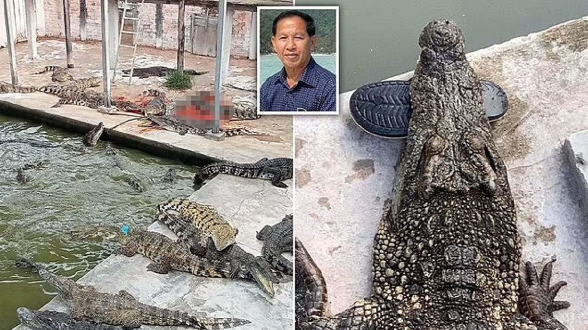 40 Crocodiles kill man