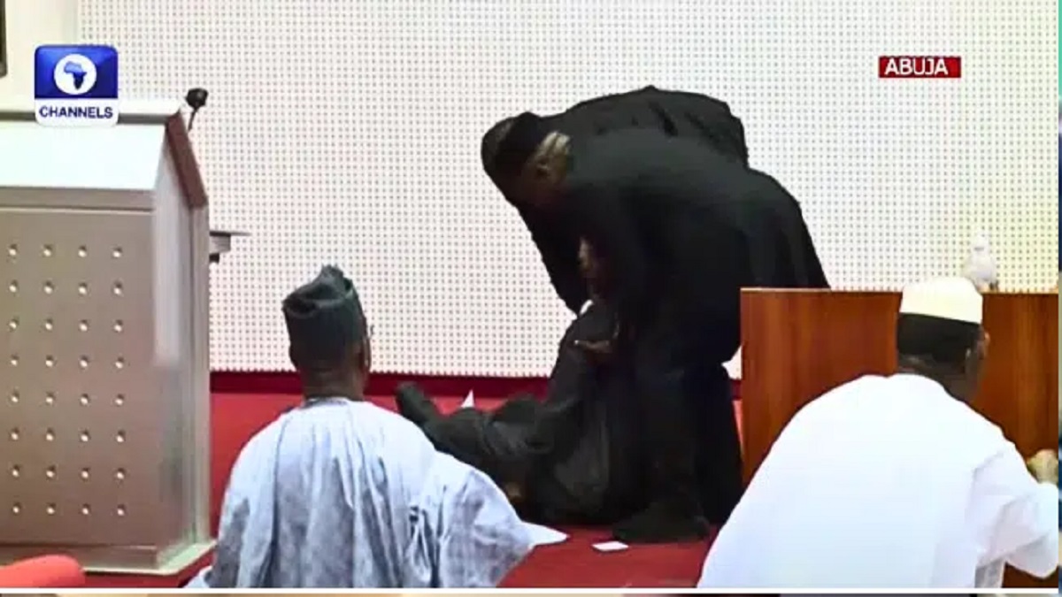 Nigerians React as Ministerial Nominee Collapses During Senate Screening