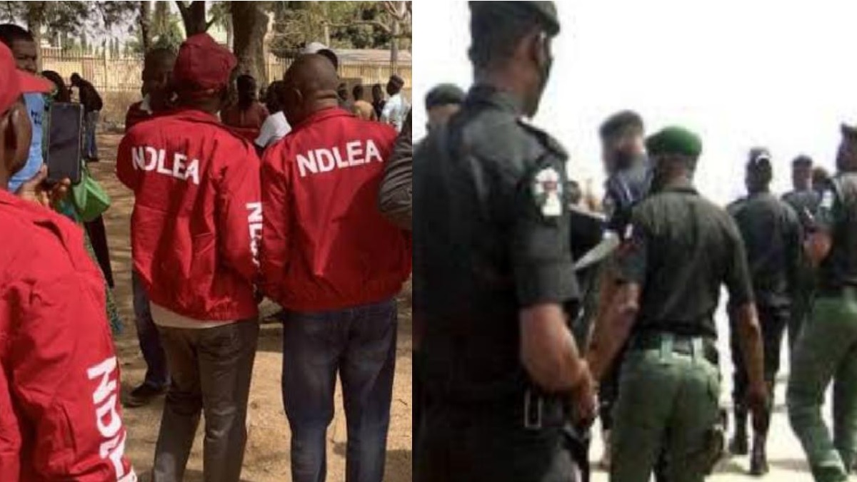 Police, NDLEA clash