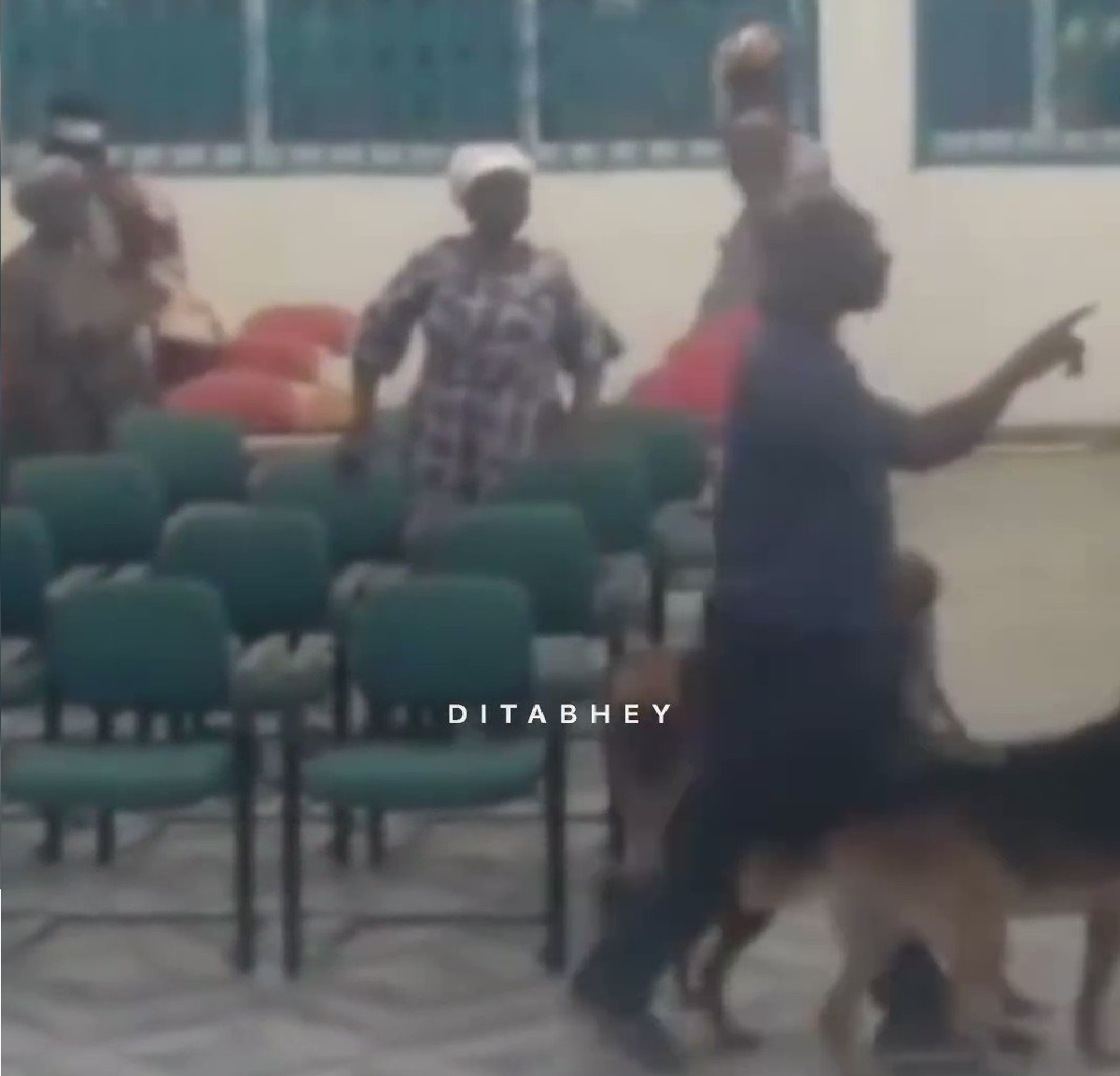 Angry Neighbour Storms Church with Fierce Dogs, Interrupts Sermon over Noise Complaint