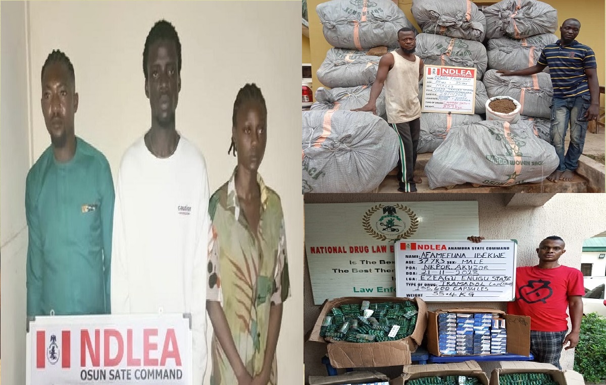 NDLEA arrests Drug Dealer in Osun